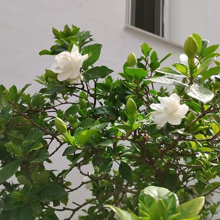 Η Ελπίδα Και Η Γιάννα Ξεκίνησαν Ένα Χώρο Cute Apartamento Volos Exterior foto