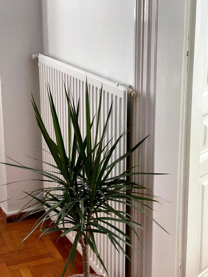 Η Ελπίδα Και Η Γιάννα Ξεκίνησαν Ένα Χώρο Cute Apartamento Volos Exterior foto