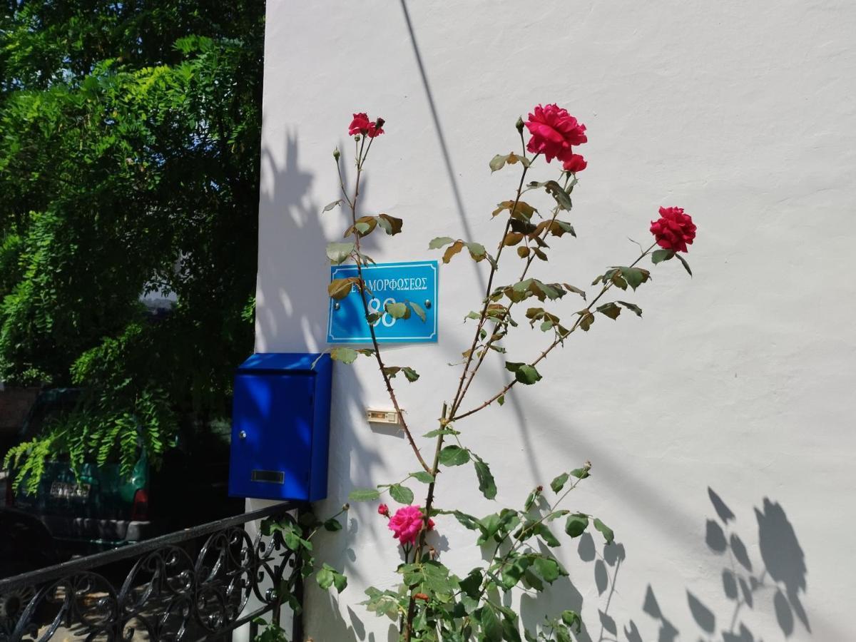 Η Ελπίδα Και Η Γιάννα Ξεκίνησαν Ένα Χώρο Cute Apartamento Volos Exterior foto