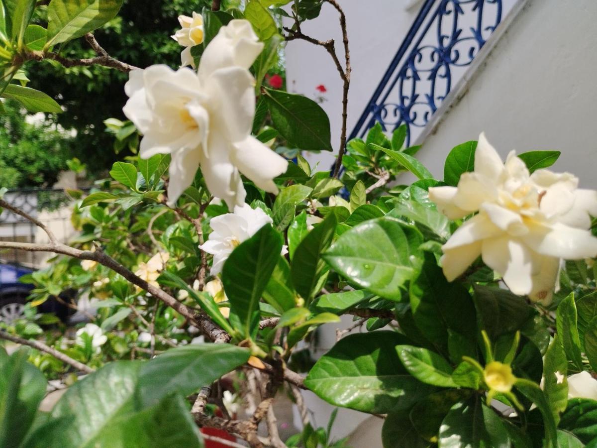 Η Ελπίδα Και Η Γιάννα Ξεκίνησαν Ένα Χώρο Cute Apartamento Volos Exterior foto